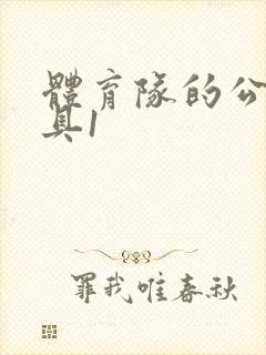 体育队的公用玩具1