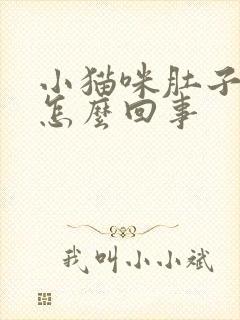 小猫咪肚子胀大怎么回事封面