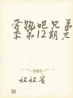 奔跑吧兄弟第五季第12期免费观看