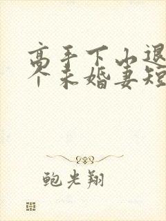 高手下山退婚九个未婚妻短剧免费高清封面