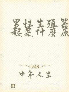 男性生殖器不勃起是什么原因造成的