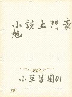 小说上门豪婿赵旭