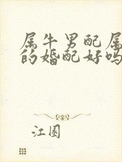 属牛男配属牛女的婚配好吗