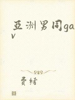 亚洲男同gayv