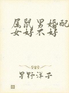 属鼠男婚配属羊女好不好