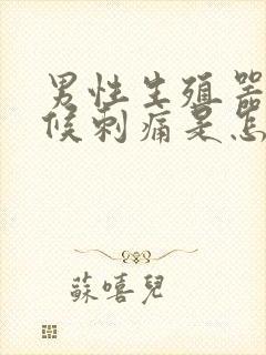 男性生殖器有时候刺痛是怎么回事