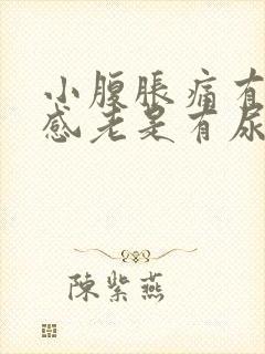 小腹胀痛有下坠感老是有尿意