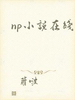 np小说在线h