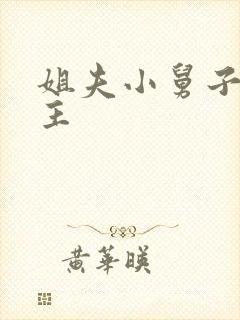 姐夫小舅子双男主