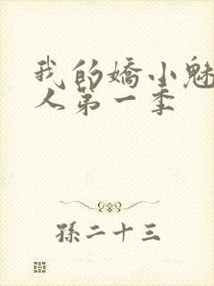 我的娇小魅魔仆人第一季