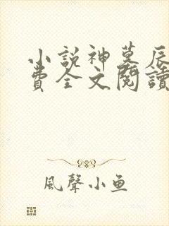 小说神墓辰东免费全文阅读