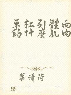 单杠引体向上用的什么肌肉封面