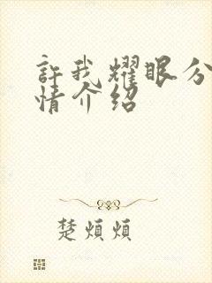 许我耀眼分集剧情介绍