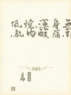 低烧,浑身无力,肌肉酸痛,头疼,该吃什么药