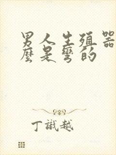 男人生殖器为什么是弯的封面