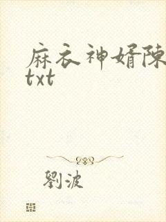 麻衣神婿陈黄皮txt