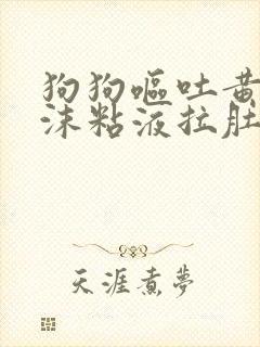 狗狗呕吐黄水泡沫粘液拉肚子