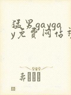 猛男gaygay免费网站视频封面