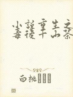 小说重生之将门毒后千山茶客完本