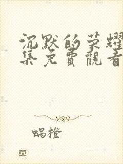 沉默的荣耀24集免费观看