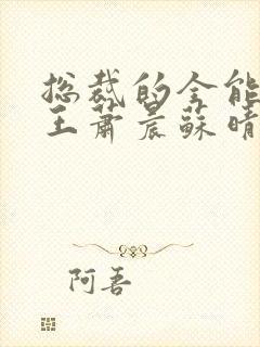 总裁的全能型兵王萧晨苏晴