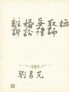 离婚争取抚养权诉讼律师