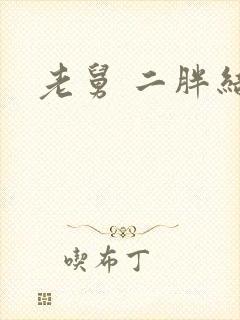 老舅 二胖结局