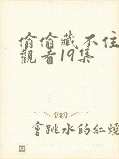 偷偷藏不住免费观看19集