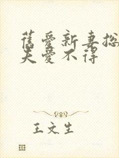 旧爱新妻总裁前夫爱不得