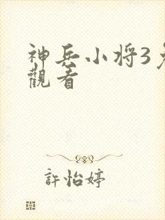 神兵小将3免费观看