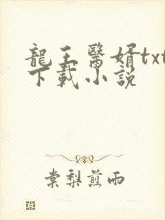 龙王医婿txt下载小说