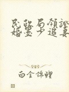 民政局领证,闪婚墨少追妻忙 云起莫离