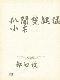 扒开双腿猛进入小柔