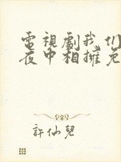 电视剧我们在黑夜中相拥免费观看