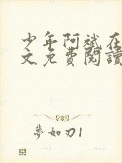 少年阿斌在线全文免费阅读