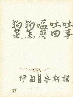 狗狗呕吐吐黄水是怎么回事