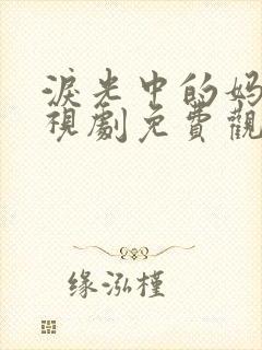 泪光中的妈妈电视剧免费观看全集