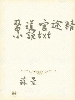 医道官途精校版小说txt