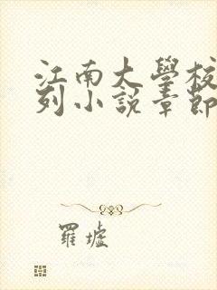 江南大学校花系列小说章节