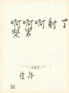 啊啊啊射了操,双男