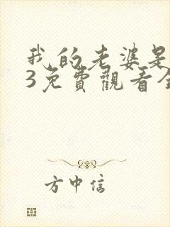 我的老婆是大佬3免费观看全集完整版高清封面