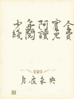 少年阿宾全文在线阅读免费下载