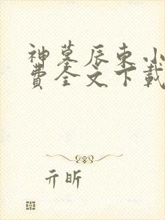 神墓辰东小说免费全文下载