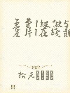 免费1级做55爰片l在线观看封面