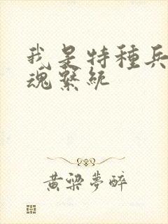 我是特种兵之军魂系统