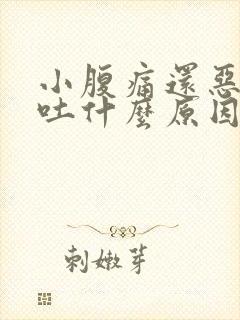 小腹痛还恶心想吐什么原因