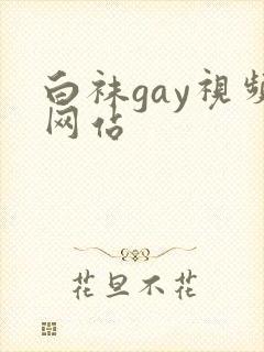 白袜gay视频网站