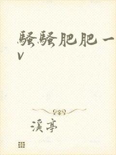 骚骚肥肥一区av