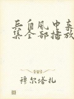 兵自风中来40集全部播放