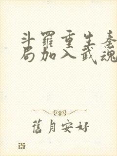 斗罗重生秦明开局加入武魂殿